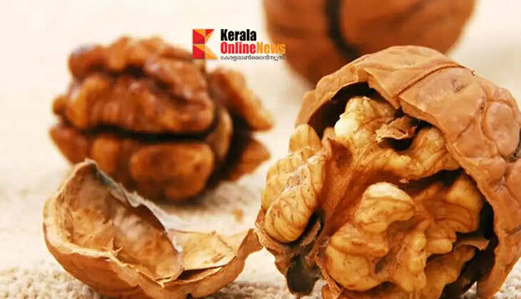 വാൾനട്ട് കഴിക്കൂ&hellip; ഈ മാറ്റങ്ങള്&zwj; നിങ്ങളെ അത്ഭുതപ്പെത്തും