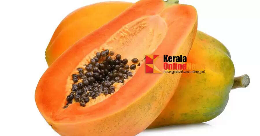 വിറ്റാമിന്‍ എ അടങ്ങിയ ഈ ഭക്ഷണങ്ങൾ കഴിക്കു പ്രതിരോധശേഷി കൂട്ടാം