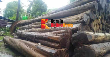 മുട്ടില്&zwj; മരം മുറി; പ്രത്യേക സംഘം അന്വേഷണം തുടരുന്നു