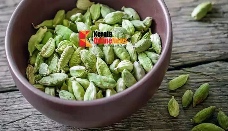 ഏലയ്ക്ക കഴിച്ചാലുള്ള ആരോഗ്യഗുണങ്ങൾ ഇതാ&hellip;