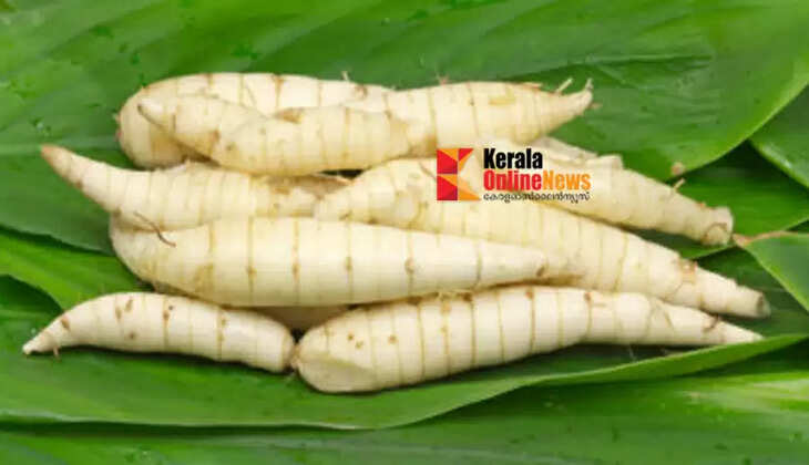 രക്തസമ്മർദത്തെയും ഹൃദ്രോഗത്തെയും അകറ്റാൻ &lsquo;കൂവ&rsquo; മതി