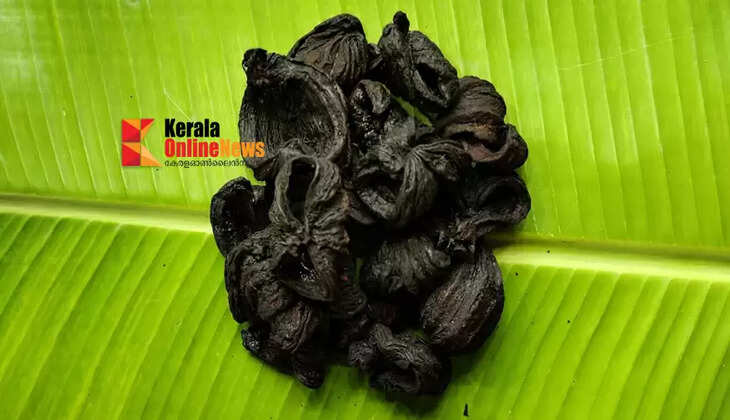 കൊളസ്ട്രോളിനെ തുരത്തും; ഇലയും തടിയുംവരെ മരുന്ന്; കുടംപുളി ചില്ലറക്കാരനല്ല