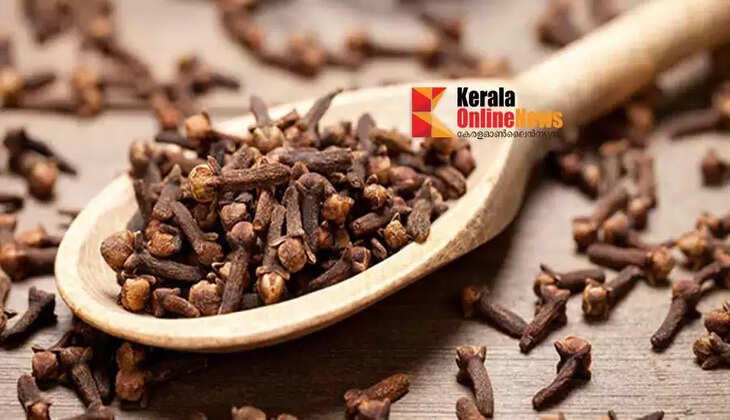 ഗ്രാമ്പു എണ്ണകൊണ്ട് പുരുഷന്മാരുടെ ലൈംഗിക പ്രശ്നങ്ങൾക്ക് പ്രതിവിധി