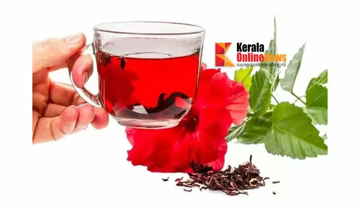 ചെമ്പരത്തി ചായ കുടിച്ചാലുള്ള ആരോ​ഗ്യ​ഗുണങ്ങൾ ഇതാ