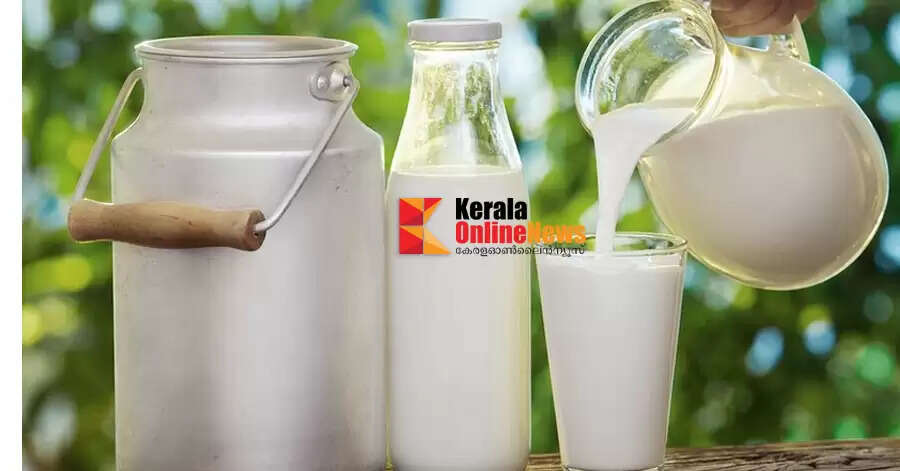 വിറ്റാമിന്‍ എ അടങ്ങിയ ഈ ഭക്ഷണങ്ങൾ കഴിക്കു പ്രതിരോധശേഷി കൂട്ടാം