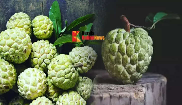 സീതപ്പഴം ഡയറ്റില്&zwj; ഉള്&zwj;പ്പെടുത്തിയാൽ..!!