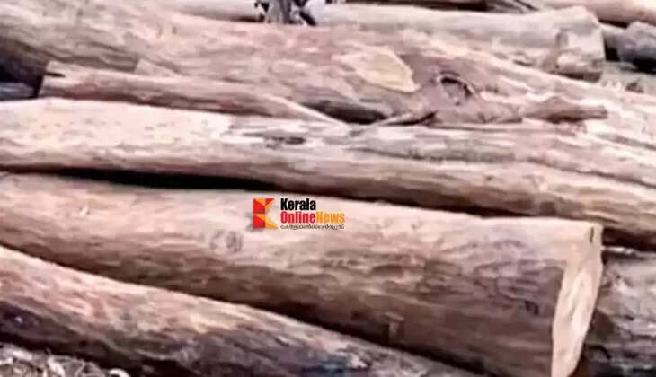 മുട്ടില്&zwj; മരംമുറി കേസ് അട്ടിമറിക്കാന്&zwj; ശ്രമിച്ചു, വനം കണ്&zwj;സര്&zwj;വേറ്റര്&zwj; എന്&zwj; ടി സാജനെതിരെ കണ്ടെത്തിയതു ഗുരുതര ക്രമക്കേടുകള്&zwj;