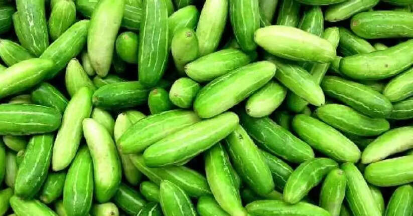 ദിവസവും ഭക്ഷണ ക്രമത്തിൽ ഉൾപ്പെടുത്താം കോവയ്ക്ക