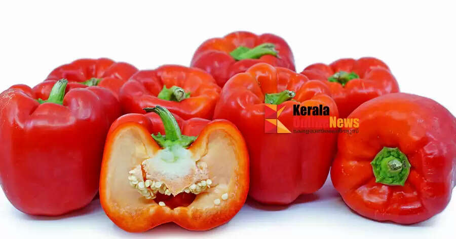 വിറ്റാമിന്‍ എ അടങ്ങിയ ഈ ഭക്ഷണങ്ങൾ കഴിക്കു പ്രതിരോധശേഷി കൂട്ടാം