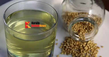 വെറും വയറ്റിൽ മല്ലി വെള്ളം കുടിക്കൂ