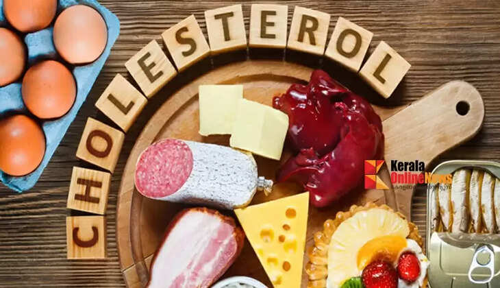 കൊളസ്ട്രോൾ കുറയ്ക്കാൻ കഴിക്കാം ഈ ആഹാരങ്ങൾ