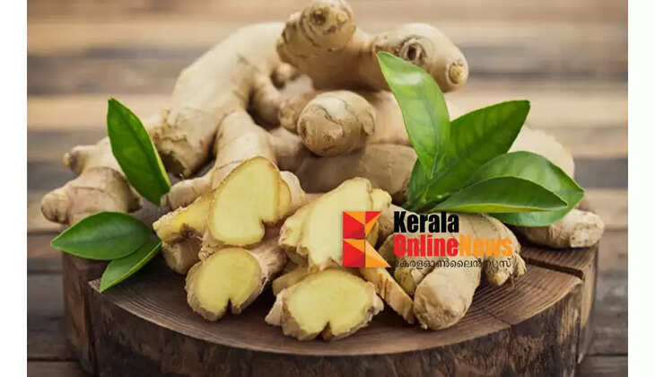 മൈഗ്രേന്&zwj; അകറ്റാൻ ഇഞ്ചി