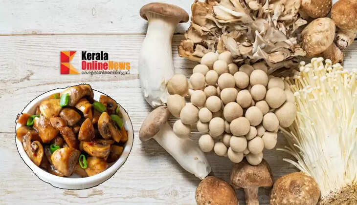 ശരീരഭാരം കുറയ്ക്കാന്&zwj; കൂണ്&zwj; കഴിച്ചു തുടങ്ങിയാലോ..പക്ഷേ പുരുഷന്മാർ കഴിച്ചാൽ..