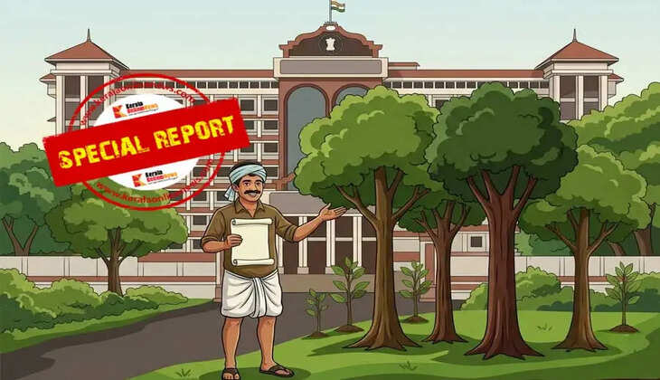 High Court Landmark Ruling Titleholders Have Full Ownership of Trees Growing on Land Held Under a Title Deed Pattayam