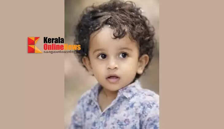 Two-year-old boy dies after falling into well while playing in Kasaragod