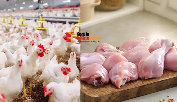 Chicken prices skyrocket; cross ₹300 per kg.