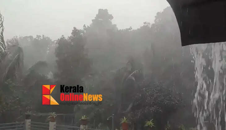 Heavy summer rains in Kollam; Woman dies after being hit by falling oil palm tree trunks