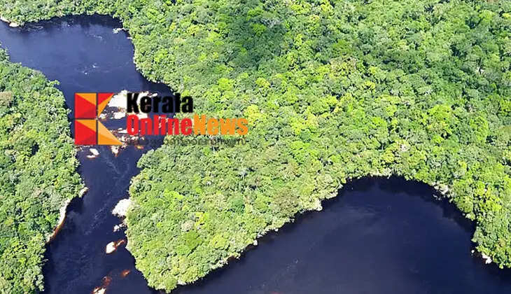 Environmental protection in the Amazon basin; UAE-led inspection, 839 people arrested
