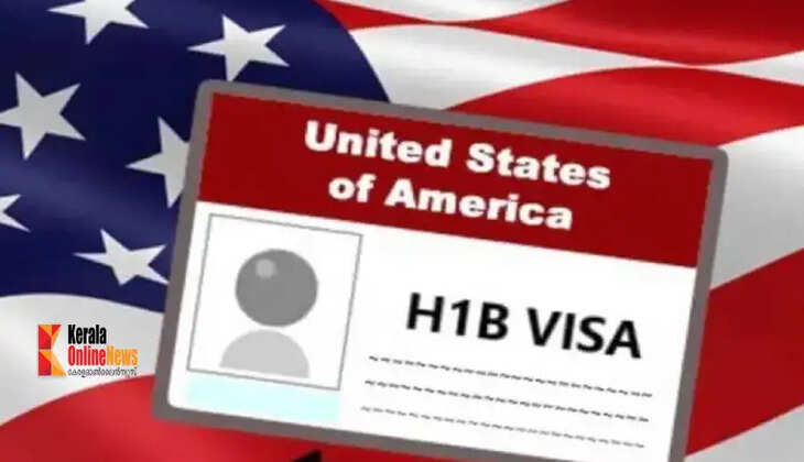 hib visa