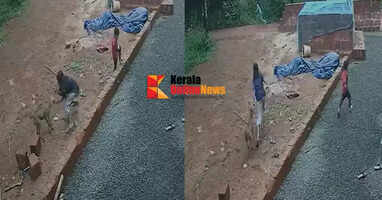 Jackal attack in Kolachari area: Several people injured, nine-year-old girl's finger bitten off