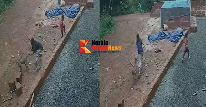 Jackal attack in Kolachari area: Several people injured, nine-year-old girl's finger bitten off