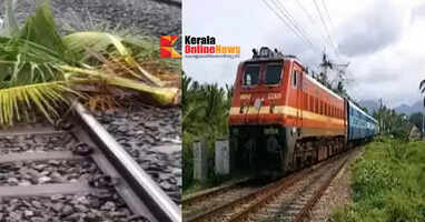 Coconut tree falls on the track; Train services to Kannur disrupted