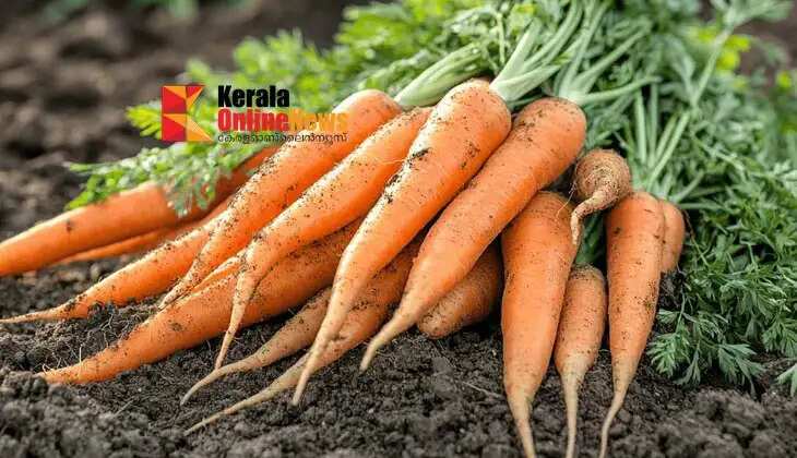 carrots