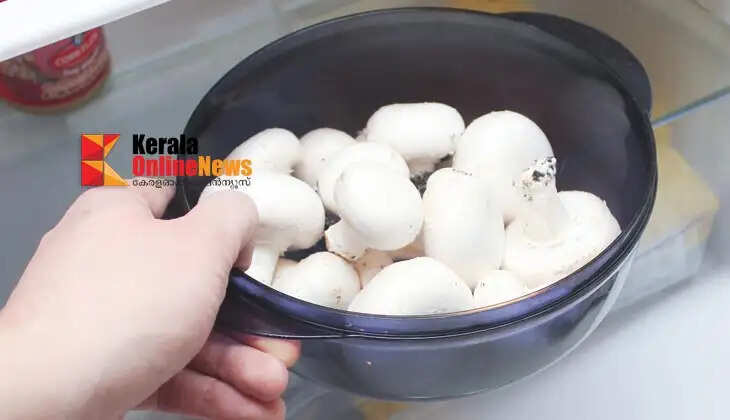 fridge mushrooms 