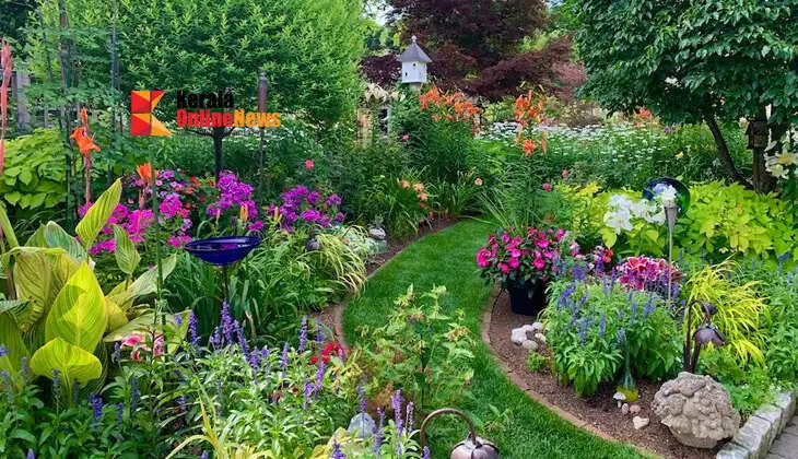 Just take care of these things to make your garden beautiful...!