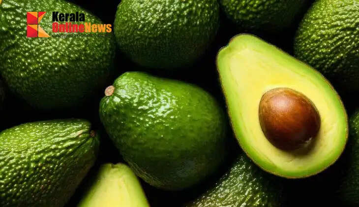 Eat avocado every day; you will see wonders in your body in two weeks