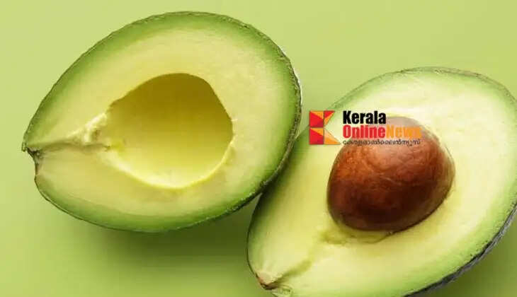 avocado