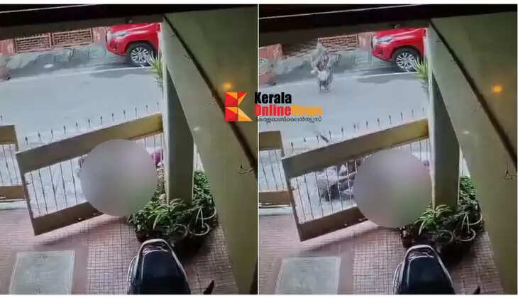 Woman attacked by pet dog during morning walk in Bengaluru