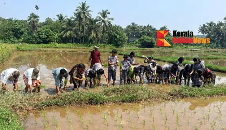 Muthukutti U.P. School hosted a paddy-planting festival, introducing young students to the basics of agriculture.
