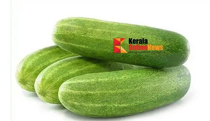 Cucumber