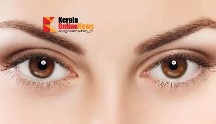eyes