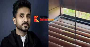 vir das