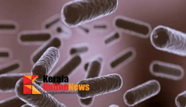 shigella