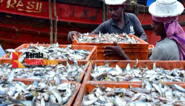 fishering