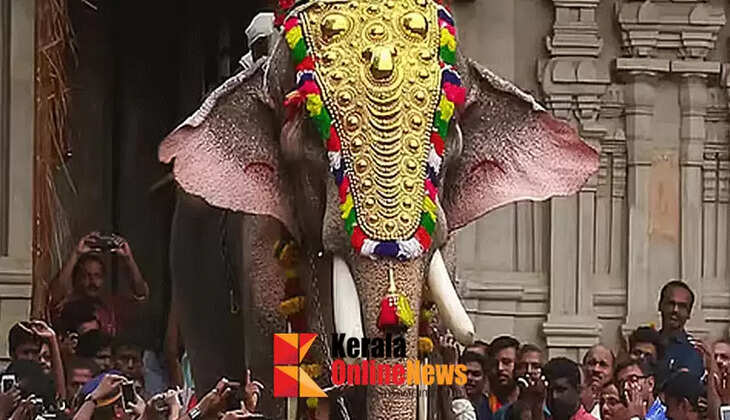 Gajaraja Thechikottukavu Ramachandran arrives to add excitement to Thrissur Pooram;