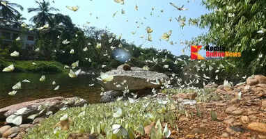 Aralam Wildlife Sanctuary to be made the state's first butterfly and wildlife sanctuary