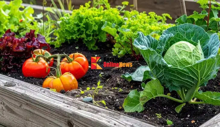 Kitchen gardens are strengthening food security for families.