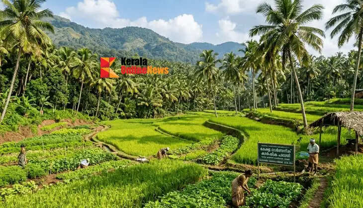 Multiple crops in the same field; intercropping to boost income potential