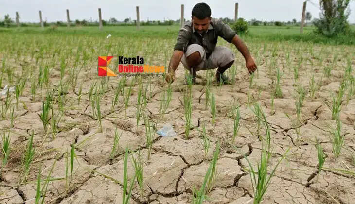 Rain remains elusive, farmlands are drying up; water conservation is crucial for farmers.