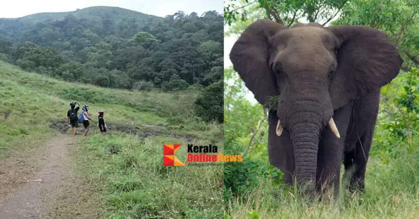 Wild elephant runs towards pilgrims coming through Pullumedu; barely escapes