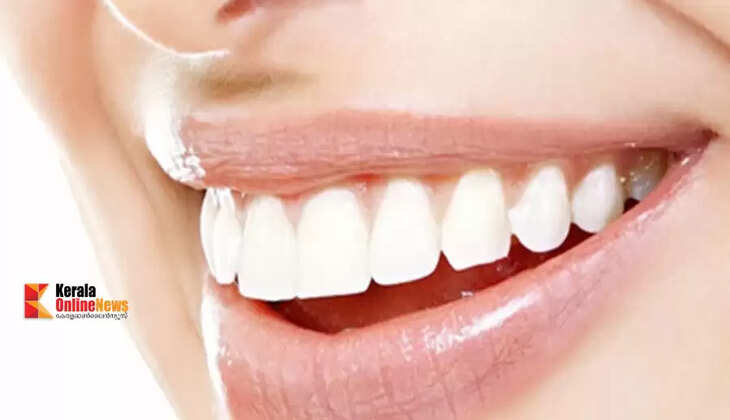 teeth