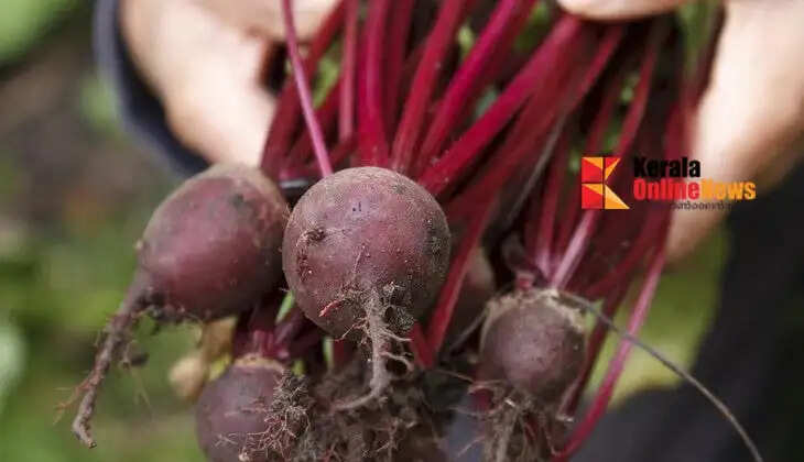 beetroot