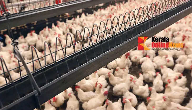 I only remember giving a kiss!!   Clashes over kissing at Russian chicken farm; 20 injured, 7 in critical condition
