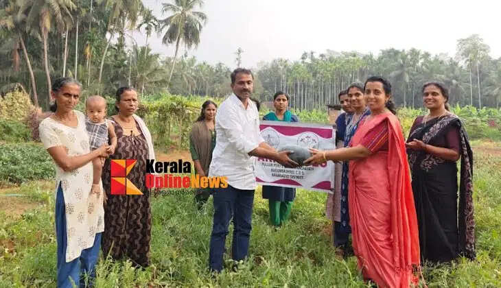 thannimathan