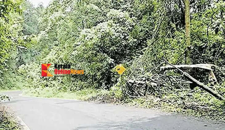 Perumpady Pass road collapses: Contractor drowns halfway through construction; Passengers file complaint with minister, wait