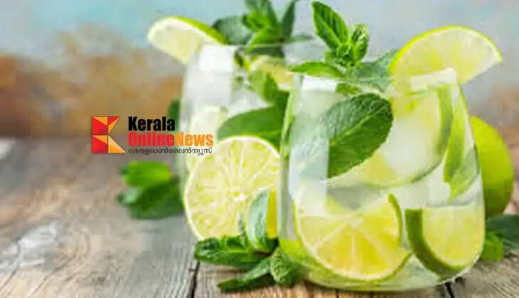 Mint lemon soda